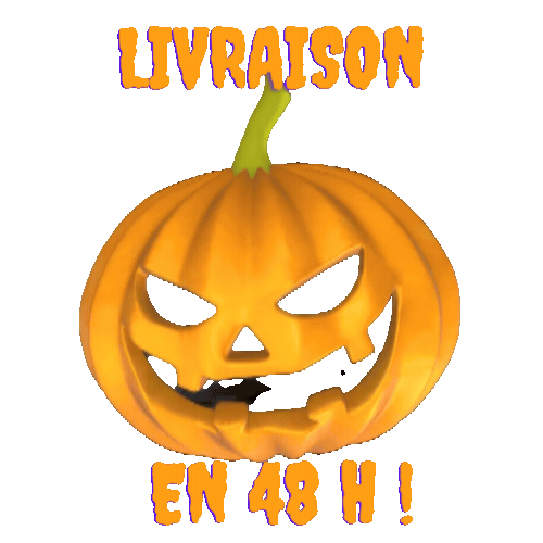 Livraison garantie en 48 heures